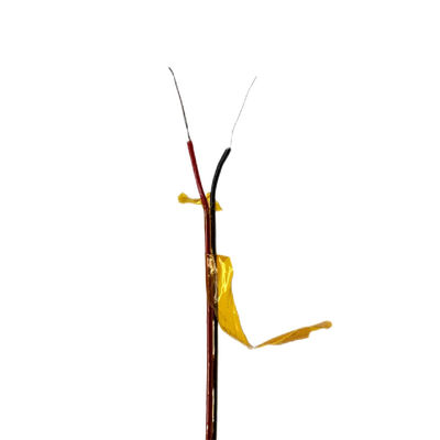 좋은 가격 딩즈춘 열전대 Kapton 절연체 폴리이미드 재밋식 Ｋ 와이어 온라인