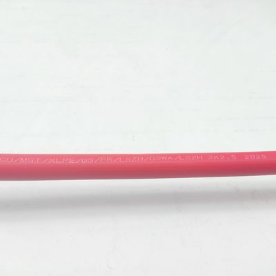 좋은 가격 기기 케이블 300/500V 2C2.5 CU/MGT/XLPE/OS/FR/LSZH/GSWA/LSZH 2x2.5 온라인