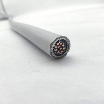 좋은 가격 기기 케이블 300/500V CU/MGT/XLPE/OS/FR/LSZH/GSWA/LSZH 10х1 온라인
